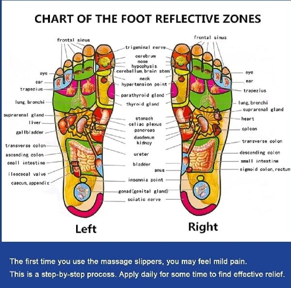 Blueidea Acupressure Massage Slippers